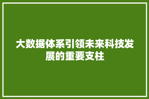 大数据体系引领未来科技发展的重要支柱  第1张