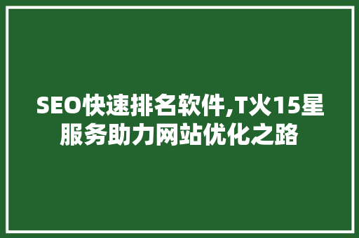 SEO快速排名软件,T火15星服务助力网站优化之路