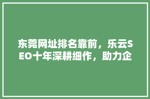 东莞网址排名靠前，乐云SEO十年深耕细作，助力企业互联网腾飞
