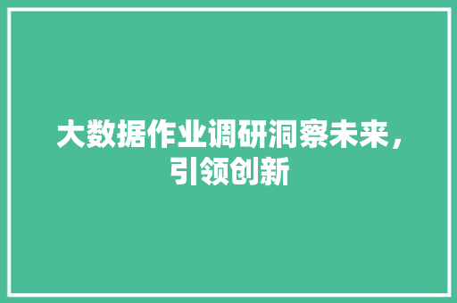 大数据作业调研洞察未来，引领创新