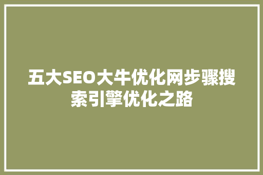 五大SEO大牛优化网步骤搜索引擎优化之路