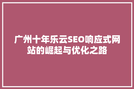 广州十年乐云SEO响应式网站的崛起与优化之路