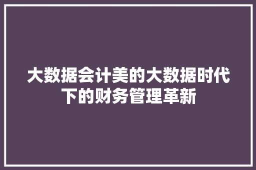 大数据会计美的大数据时代下的财务管理革新  第1张