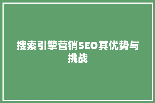 搜索引擎营销SEO其优势与挑战  第1张