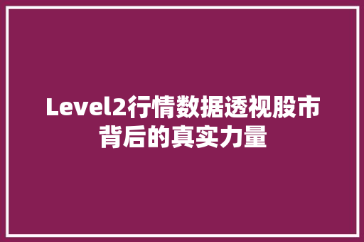 Level2行情数据透视股市背后的真实力量