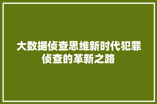 大数据侦查思维新时代犯罪侦查的革新之路  第1张