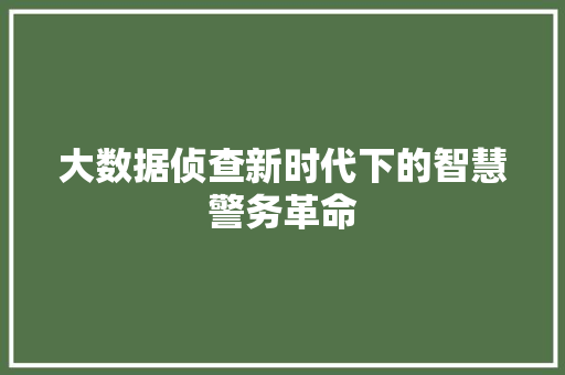 大数据侦查新时代下的智慧警务革命  第1张