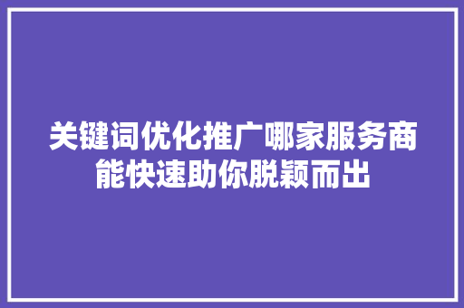关键词优化推广哪家服务商能快速助你脱颖而出