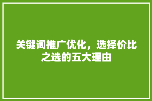 关键词推广优化，选择价比之选的五大理由