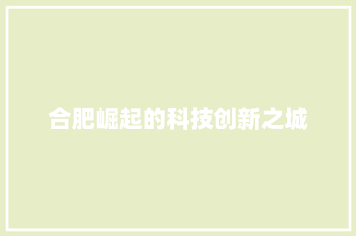 合肥崛起的科技创新之城