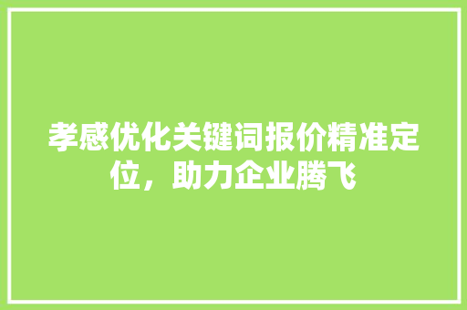 孝感优化关键词报价精准定位，助力企业腾飞