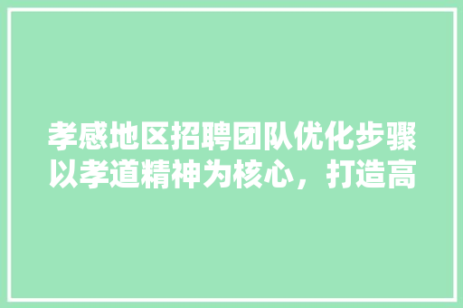孝感地区招聘团队优化步骤以孝道精神为核心，打造高效团队