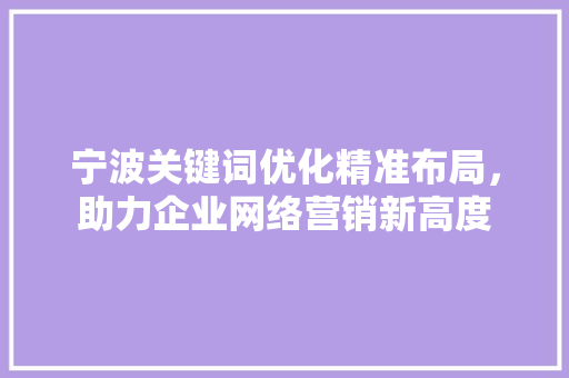 宁波关键词优化精准布局，助力企业网络营销新高度