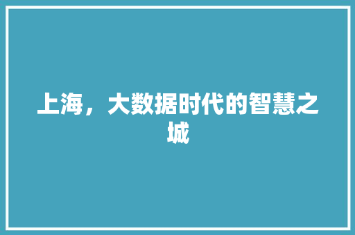 上海，大数据时代的智慧之城