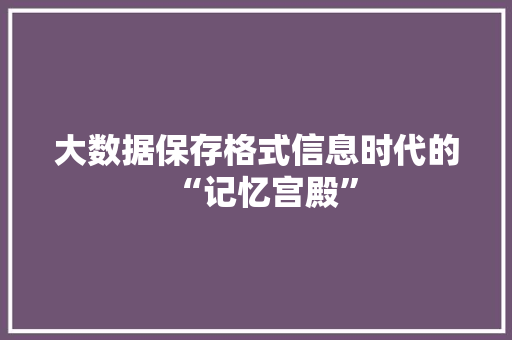 大数据保存格式信息时代的“记忆宫殿”  第1张