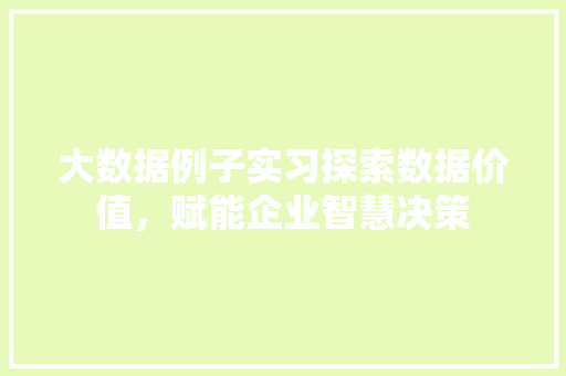 大数据例子实习探索数据价值，赋能企业智慧决策  第1张
