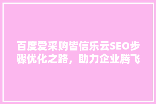 百度爱采购皆信乐云SEO步骤优化之路，助力企业腾飞