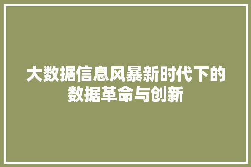 大数据信息风暴新时代下的数据革命与创新  第1张