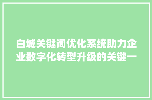 白城关键词优化系统助力企业数字化转型升级的关键一招_白城关键词优化系统
