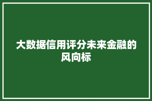 大数据信用评分未来金融的风向标  第1张