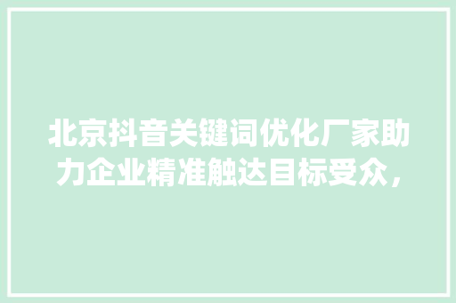 北京抖音关键词优化厂家助力企业精准触达目标受众，提升品牌影响力_北京抖音关键词优化厂家