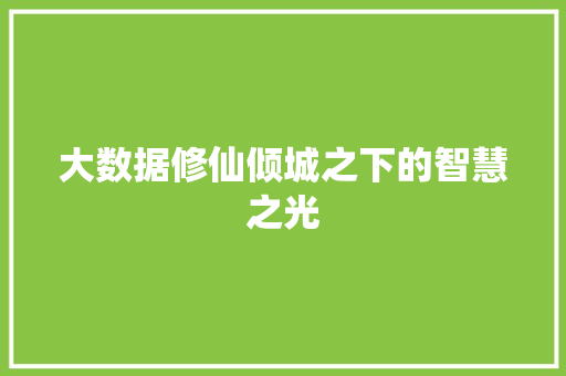 大数据修仙倾城之下的智慧之光  第1张