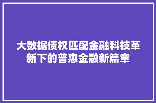 大数据债权匹配金融科技革新下的普惠金融新篇章