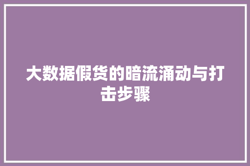 大数据假货的暗流涌动与打击步骤