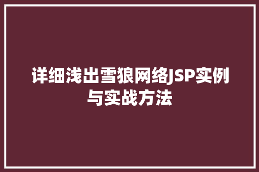 详细浅出雪狼网络JSP实例与实战方法