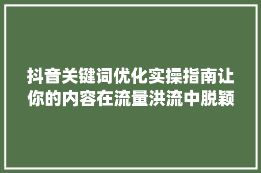 抖音关键词优化实操指南让你的内容在流量洪流中脱颖而出_抖音关键词优化实操