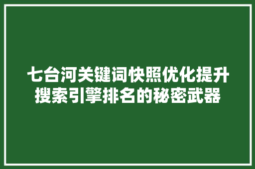 七台河关键词快照优化提升搜索引擎排名的秘密武器