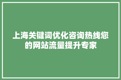 上海关键词优化咨询热线您的网站流量提升专家