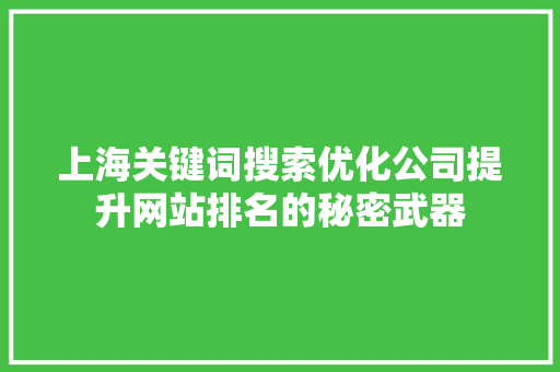 上海关键词搜索优化公司提升网站排名的秘密武器