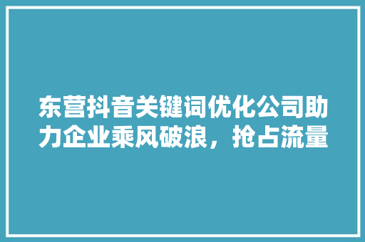 东营抖音关键词优化公司助力企业乘风破浪，抢占流量高地