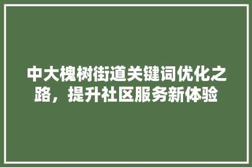 中大槐树街道关键词优化之路，提升社区服务新体验