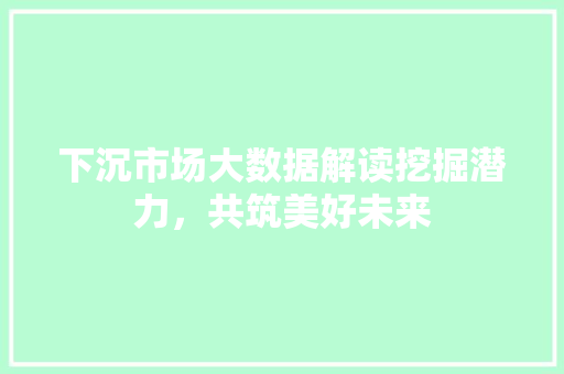 下沉市场大数据解读挖掘潜力，共筑美好未来