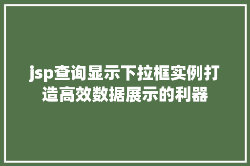 jsp查询显示下拉框实例打造高效数据展示的利器