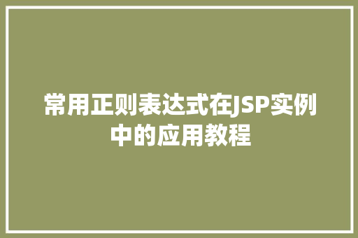 常用正则表达式在JSP实例中的应用教程  第1张