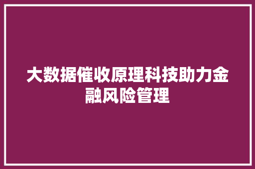 大数据催收原理科技助力金融风险管理  第1张