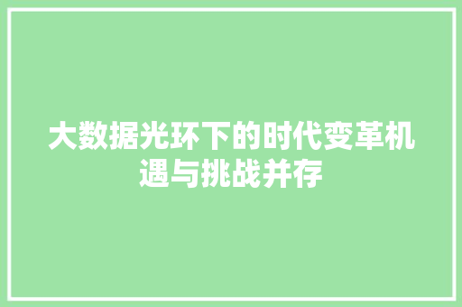 大数据光环下的时代变革机遇与挑战并存  第1张
