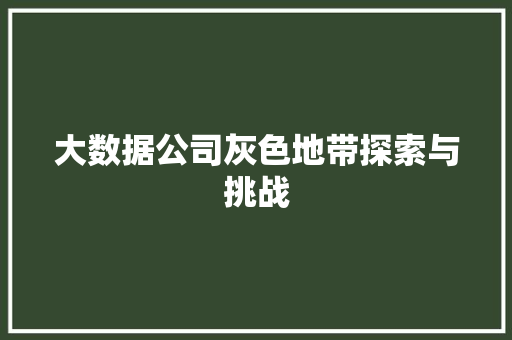大数据公司灰色地带探索与挑战  第1张