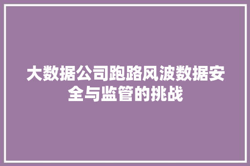 大数据公司跑路风波数据安全与监管的挑战  第1张