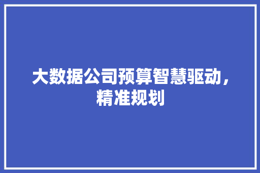 大数据公司预算智慧驱动，精准规划