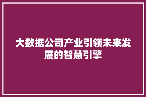 大数据公司产业引领未来发展的智慧引擎  第1张