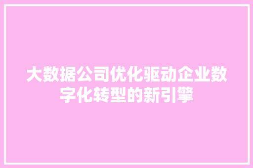 大数据公司优化驱动企业数字化转型的新引擎  第1张