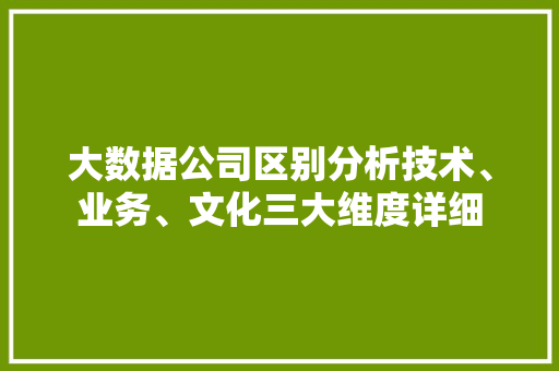 大数据公司区别分析技术、业务、文化三大维度详细  第1张