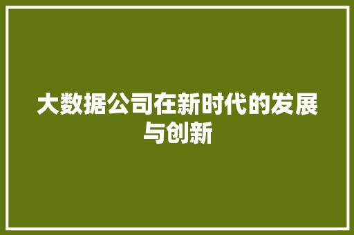 大数据公司在新时代的发展与创新  第1张