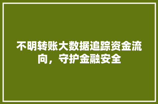 不明转账大数据追踪资金流向，守护金融安全