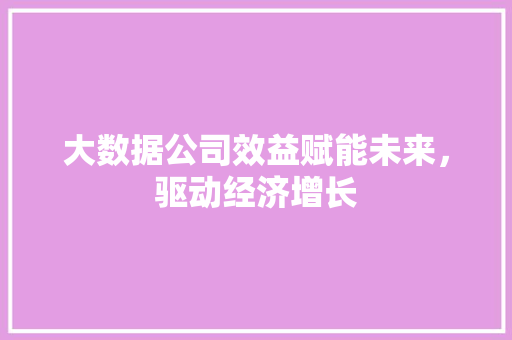 大数据公司效益赋能未来，驱动经济增长  第1张