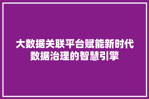 大数据关联平台赋能新时代数据治理的智慧引擎  第1张